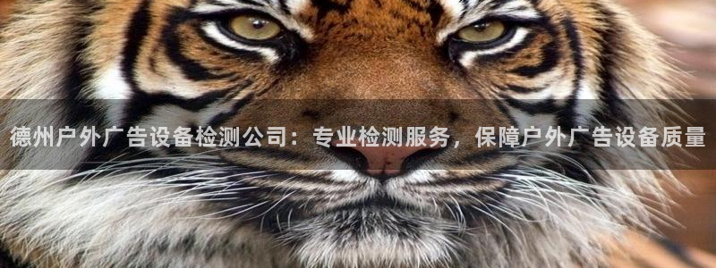 杏宇平台登陆：德州户外广告设备检测公司：专业检测服务，保障户外广告设备质量