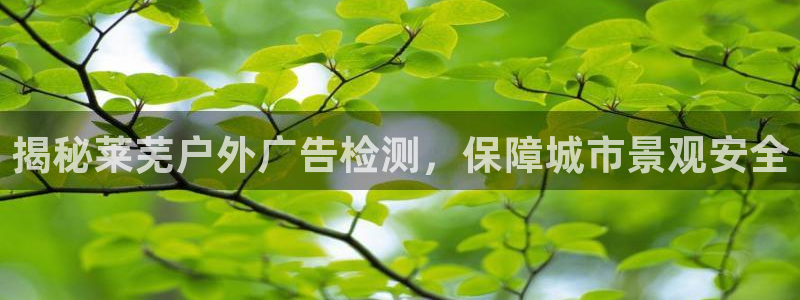 杏宇平台代理多少钱：揭秘莱芜户外广告检测，保障城市景观安全