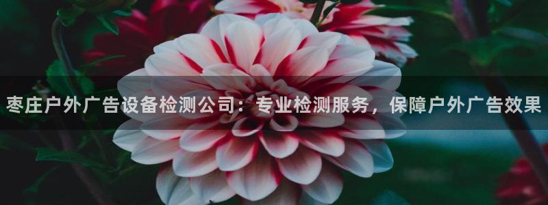 杏宇平台代理多少钱一次：枣庄户外广告设备检测公司：专业检测服务，保障户外广告效果