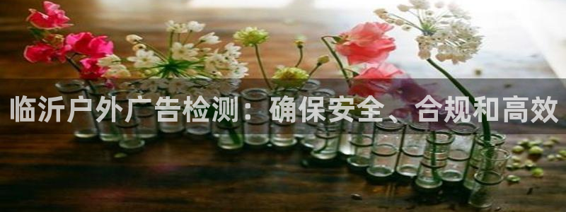 杏宇平台招商怎么样：临沂户外广告检测：确保安全、合规和高效