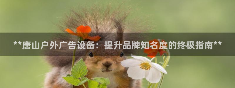 杏宇平台客服：**唐山户外广告设备：提升品牌知名度的终极指南**