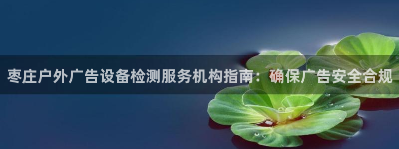 杏宇平台登陆：枣庄户外广告设备检测服务机构指南：确保广告安全合规