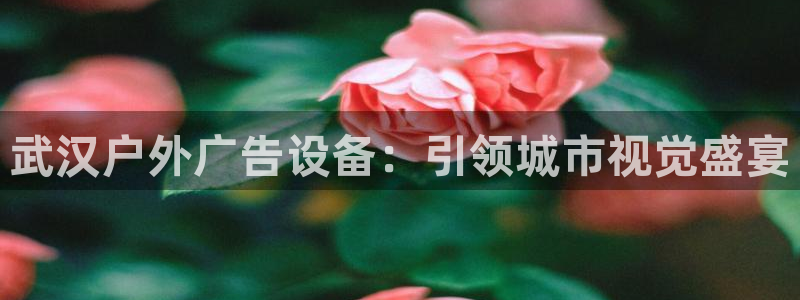 杏宇平台代理：武汉户外广告设备：引领城市视觉盛宴