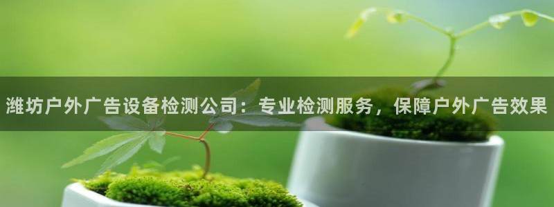 杏宇平台注册地址在哪里：潍坊户外广告设备检测公司：专业检测服务，保障户外广告效果