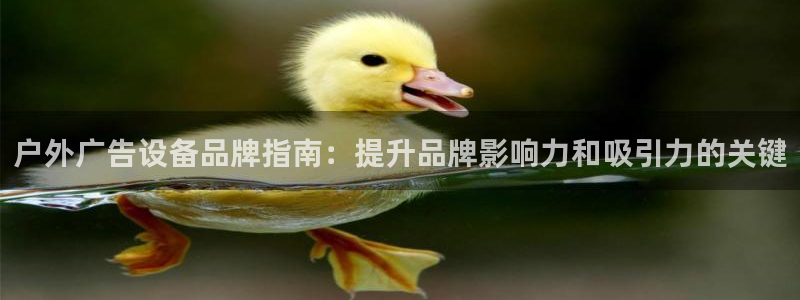 杏宇平台开户：户外广告设备品牌指南：提升品牌影响力和吸引力的关键