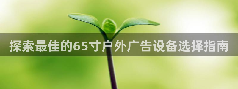 杏宇官方平台官网：探索最佳的65寸户外广告设备选择指南
