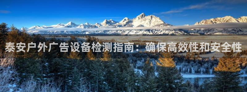 杏宇平台登陆：泰安户外广告设备检测指南：确保高效性和安全性