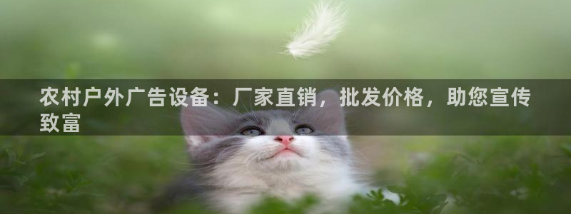 杏宇平台好吗：农村户外广告设备：厂家直销，批发价格，助您宣传
致富