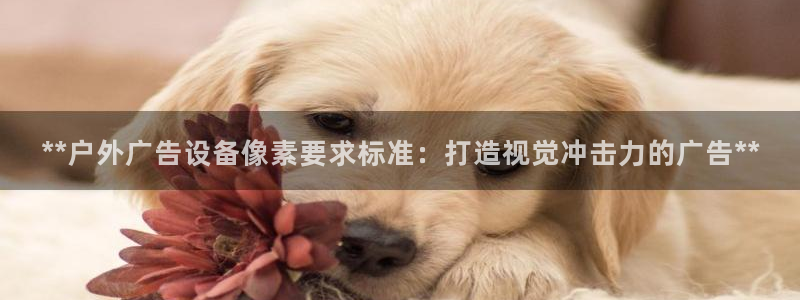 杏宇平台是什么：**户外广告设备像素要求标准：打造视觉冲击力的广告**