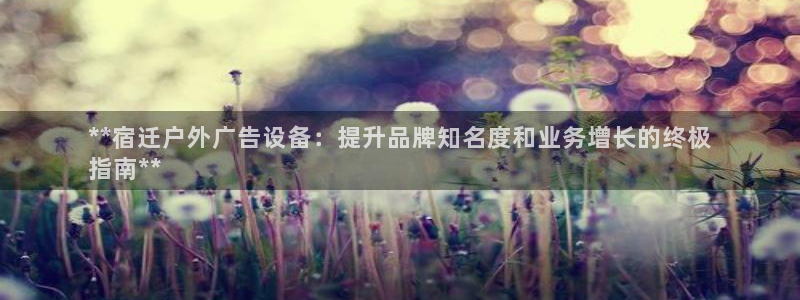 杏宇平台提现为什么这么久呢：**宿迁户外广告设备：提升品牌知名度和业务增长的终极
指南**