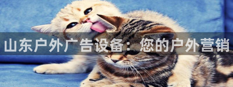 杏宇平台登录步骤图：山东户外广告设备：您的户外营销