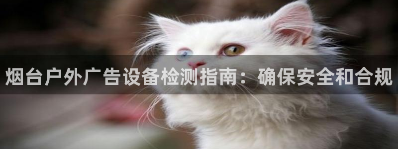 杏宇平台代理怎么赚钱的：烟台户外广告设备检测指南：确保安全和合规