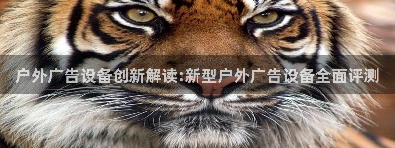 杏宇平台代理怎么样赚钱