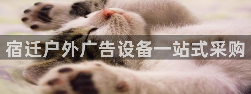 杏宇平台代理怎么赚钱快：宿迁户外广告设备一站式采购