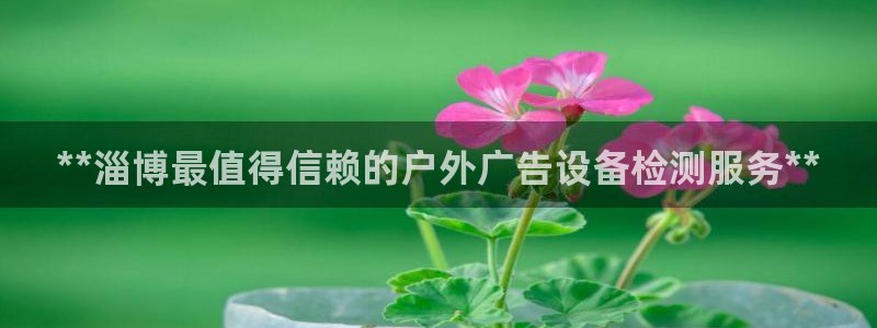 杏宇平台代理怎么样可靠吗：**淄博最值得信赖的户外广告设备检测服务**