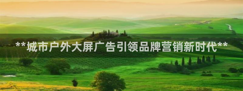 杏宇平台代理怎么赚钱快：**城市户外大屏
