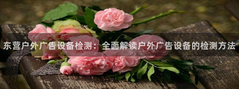 杏宇平台怎么样赚钱：东营户外广告设备检测：全面解读户外广告设备的检测方法