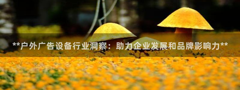 杏宇平台招商怎么样：**户外广告设备行业
