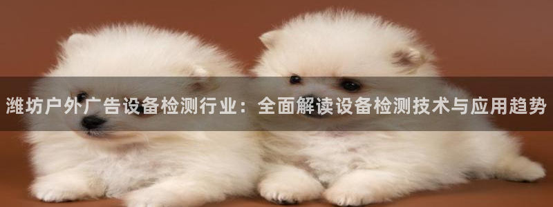 杏宇代理注册：潍坊户外广告设备检测行业：