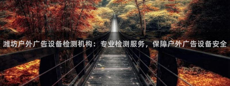 杏宇平台登录步骤图