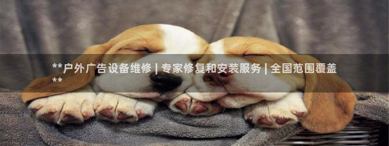 杏宇平台代理多少钱一个：**户外广告设备维修 | 专家修复和安装服务 | 全国范围覆盖
**
