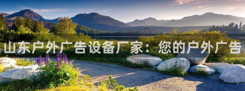 杏宇平台主管