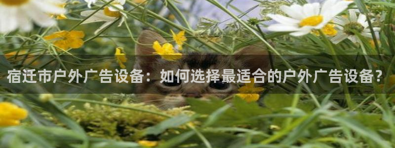 杏宇平台怎么样：宿迁市户外广告设备：如何选择最适合的户外广告设备？