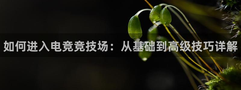 完美电竞app下载：如何进入电竞竞技场：从基础到高级技巧详解