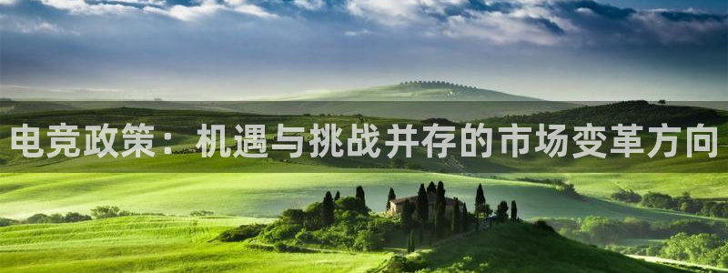 完美电竞app：电竞政策：机遇与挑战并存的市场变革方向