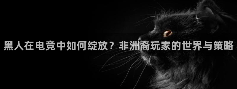 完美电竞大会员：黑人在电竞中如何绽放？非洲裔玩家的世界与策略