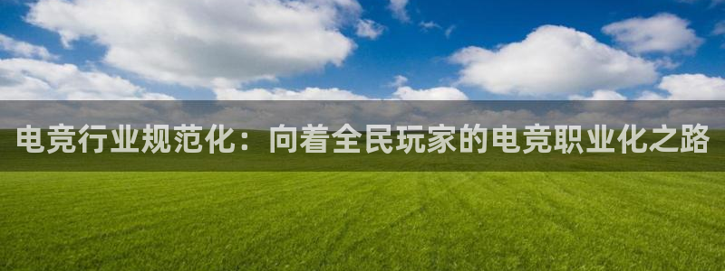 完美电竞平台官网网址：电竞行业规范化：向着全民玩家的电竞职业化之路